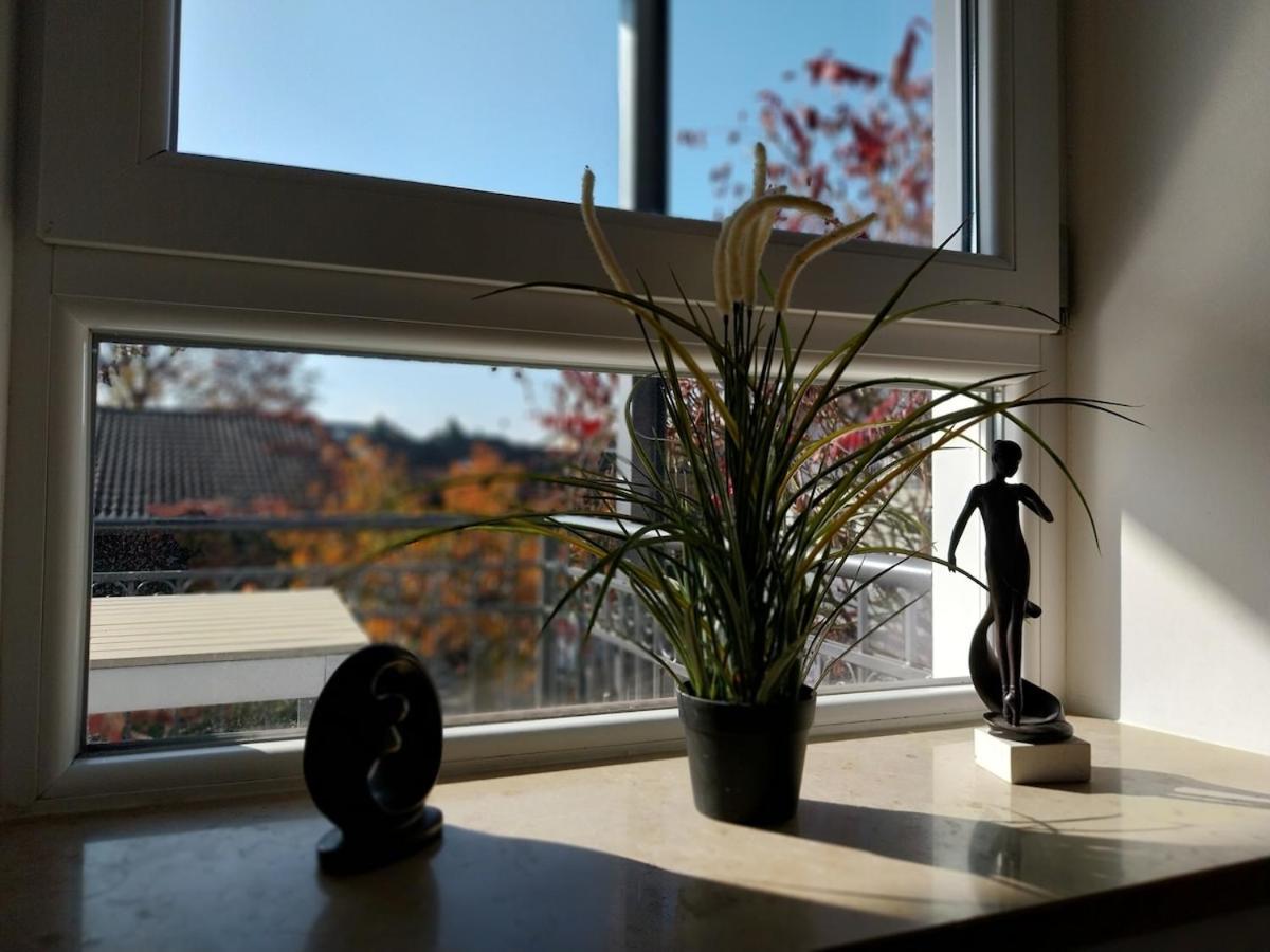 Bad Aibling City Apartment - Alpenblick Esterno foto
